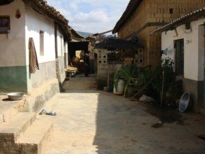 小臥龍自然村 小臥龍自然村