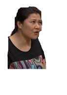 外來媳婦本地郎[2000年廣東廣播電視台電視系列情景劇]