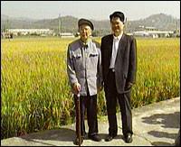 黃耀祥考察水稻良種基地