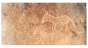 神秘的“畫馬崖”岩石畫群