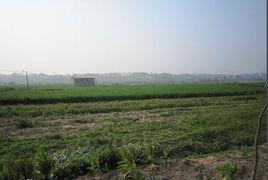 大房村[福建省泉州市晉江市東石鎮下轄村]