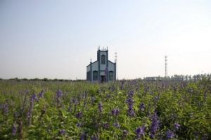 楓丹白露開心農場 楓丹白露開心農場