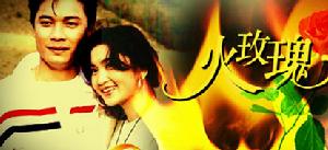 《火玫瑰》 《火玫瑰》