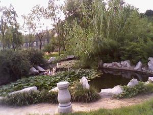 （圖）高密市康成中學