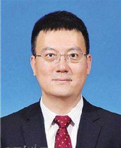 顧剛[海南省發展控股有限公司黨委書記]