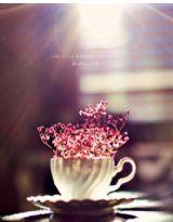 改變不了的結局