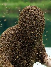 江西“第一蜂人”創世界紀錄