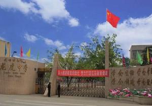 龍虎中學 龍虎中學