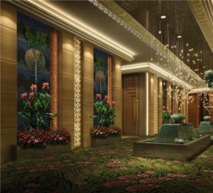 康城陽光國際水會 康城陽光國際水會