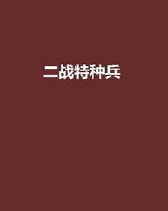 二戰特種兵 二戰特種兵