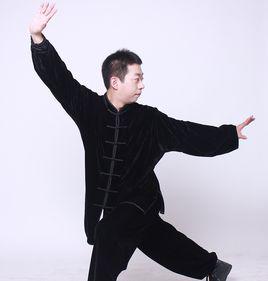 楊氏太極拳 楊氏太極拳