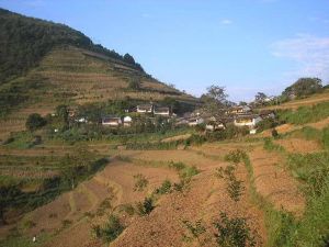 岔江小丫口村 岔江小丫口村