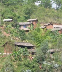 石婆坡村 石婆坡村