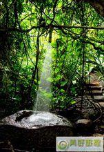 呀諾達熱帶雨林景區