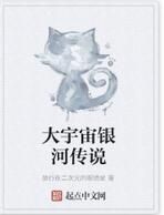 大宇宙銀河傳說 大宇宙銀河傳說