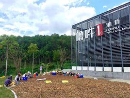 海南新意農業旅遊開發有限公司 海南新意農業旅遊開發有限公司