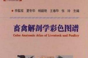 畜禽解剖學彩色圖譜 畜禽解剖學彩色圖譜