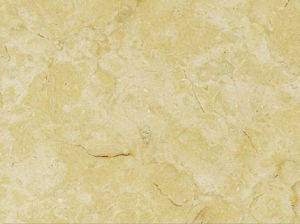 雷蒙金 | Ramon Gold |