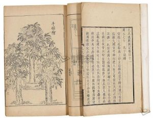 《孔氏祖庭廣記插圖》 《孔氏祖庭廣記插圖》