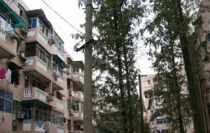 金寧新村社區 金寧新村社區