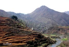 故鄉是搖籃 故鄉是搖籃