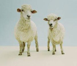 克隆[2008年首播英國電視劇]