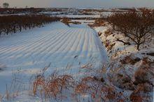 溱東鎮風景名勝