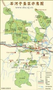 石河子墾區 石河子墾區