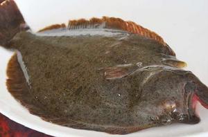 半邊魚[一種魚類，常出沒在廣西的西北部一帶]