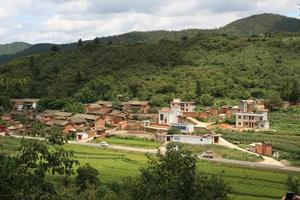 青龍鎮[上海市青浦區青龍鎮]