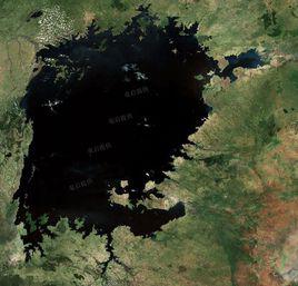 維多利亞湖 維多利亞湖