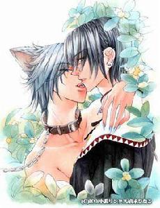 獸人之改行做獸醫 獸人之改行做獸醫