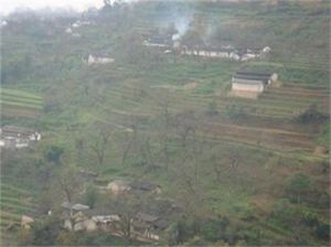 向陽行政村 向陽行政村