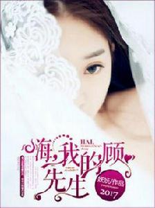 嗨,我的顧先生 嗨,我的顧先生