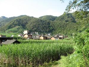 那舍自然村全景