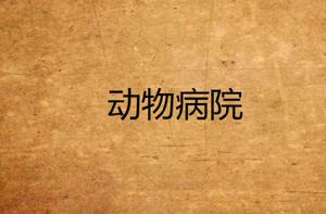動物病院 動物病院