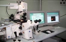 雷射共聚焦顯微鏡