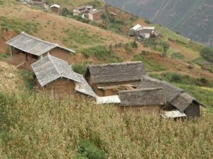 上味口自然村 上味口自然村