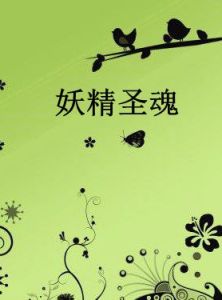 妖精聖魂 妖精聖魂