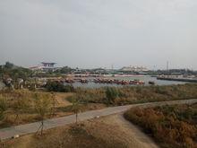 衡水湖國家級自然保護區