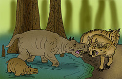 石炭獸（Anthracotherium）是已滅絕的偶蹄目哺乳動物，特徵是共有44顆牙齒，每顆上臼齒都有五個半新月形的齒冠。石炭獸分布在漸新世的歐洲、亞洲及北美洲，於中新世中期至晚期消失，可能是因氣候的轉變及與其他偶蹄目（如豬及河馬）的競爭所致。石炭獸的很多地方，尤其是下頜骨，與河馬很接近，有可能是它們的祖先形態。根據石炭獸科與河馬的研究顯示，它們可能與鯨魚的祖先有關。石炭獸的命名是因它們的化石遺骸最先在歐洲第三紀的褐煤床發現。在歐洲發現的A. magnum大小可能如河馬般，但另有幾個細小的物種在埃及、印度及北美洲被發現。石炭獸化石時期： 漸新世至中中新世 石炭獸及Elomeryx 科學分類 界： 動物界 Animalia 門： 脊索動物門 Chordata 綱： 哺乳動物綱 Mammalia 目： 偶蹄目 Artiodactyla 科： †石炭獸科 Anthracotheriidae 亞科： †石炭獸亞科 Anthracotheriinae 屬： †石炭獸屬 Anthracotherium  種 †A. sminthos †A. magnum †A. pangan †A. monsvialense †A. minus †A. minimum †A. bumbachense †A. meneghinii  異名 Anthracohyus 先炭獸屬 Anthracokeryx 錐炭獸屬 Anthracothema
