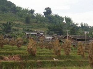 灑代自然村 灑代自然村