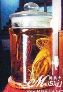 人參鹿茸酒 人參鹿茸酒