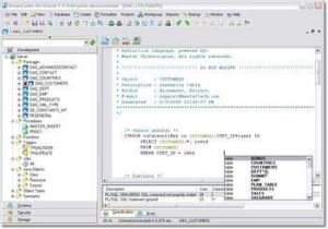 胖客戶端 胖客戶端
