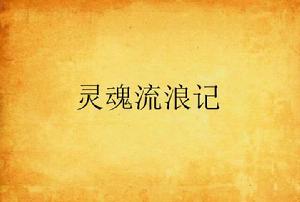 靈魂流浪記 靈魂流浪記