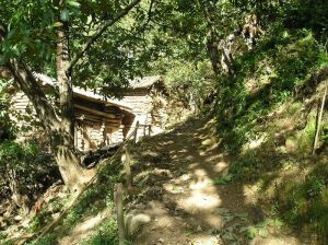 箐門口張家灣村 箐門口張家灣村