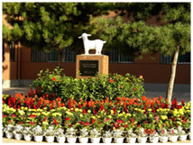 內蒙古大學實驗動物中心 內蒙古大學實驗動物中心