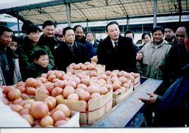 安徽亳州蔬菜批發市場 安徽亳州蔬菜批發市場