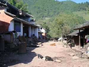 地利租下村 地利租下村