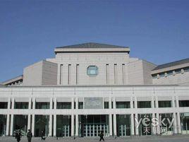 北京大學星 北京大學星